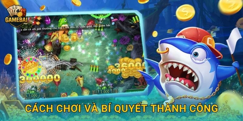 Cách chơi và bí quyết thành công