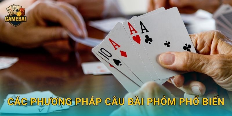 Các phương pháp câu bài phỏm phổ biến