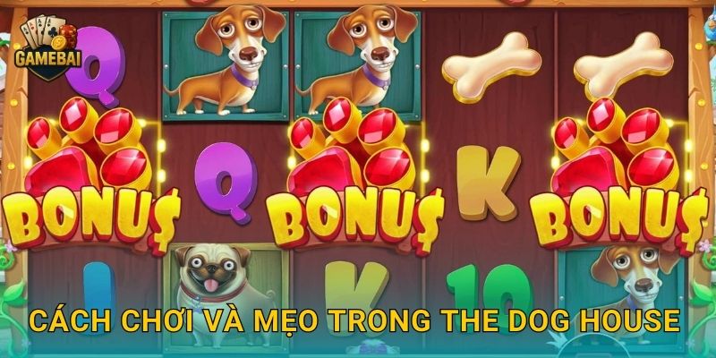 Cách chơi và mẹo trong The Dog House